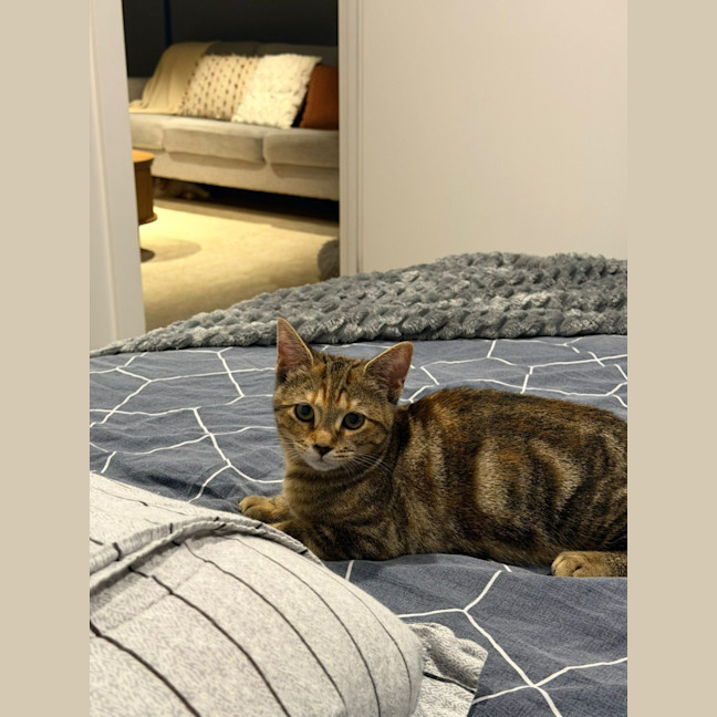 Photo of Mila
