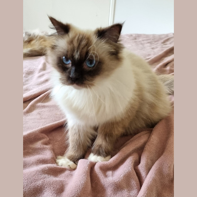 Photo of Neo