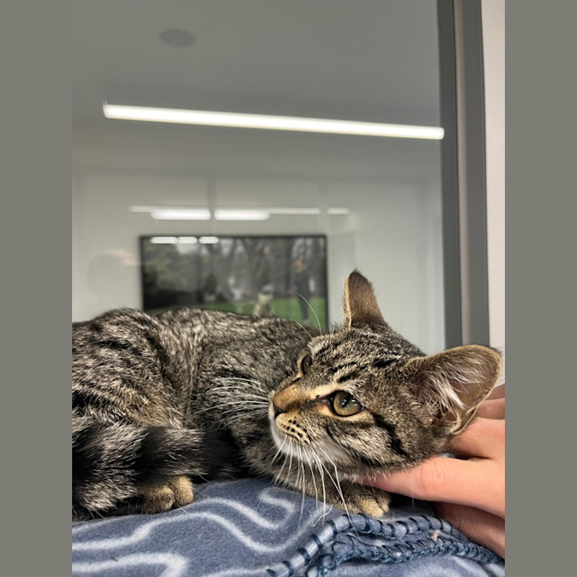 Photo of Winky