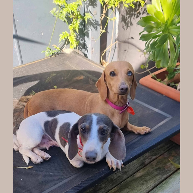 Photo of Destiny & Ivy