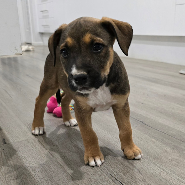 Photo of Marceline The Vampire Queen