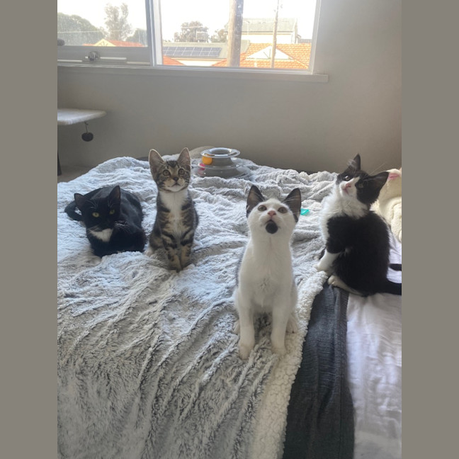 Photo of Luna Sanderson