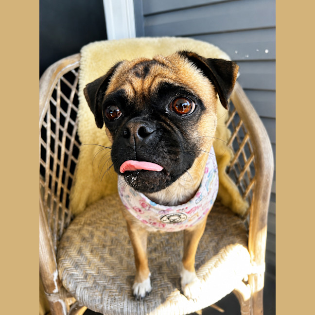 Photo of Gabby