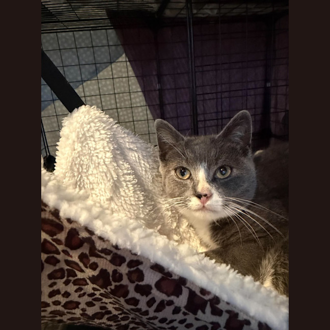 Photo of Gus