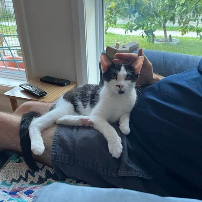 Photo of Acorn & Macadamia 