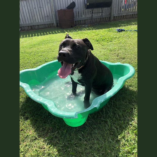 Photo of Tank