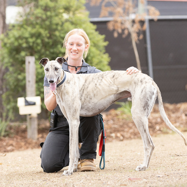 Photo of Ghost