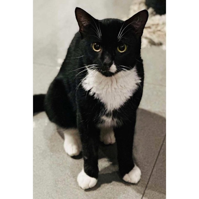 Photo of 12355   Snoop