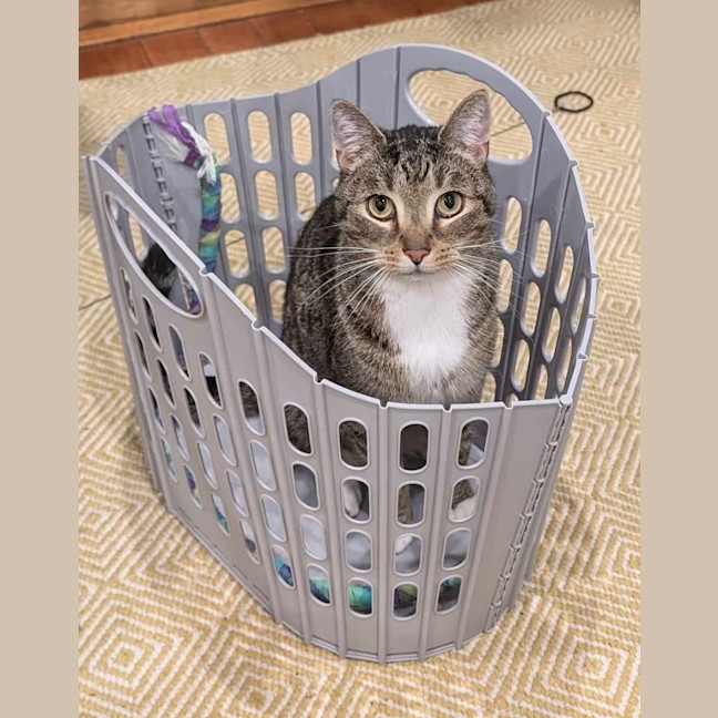 Photo of Monty