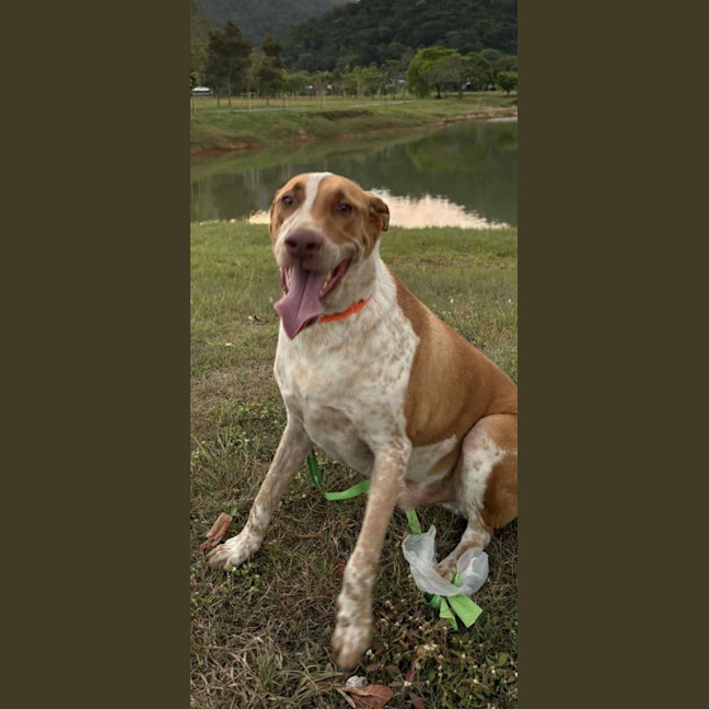 Photo of Duke