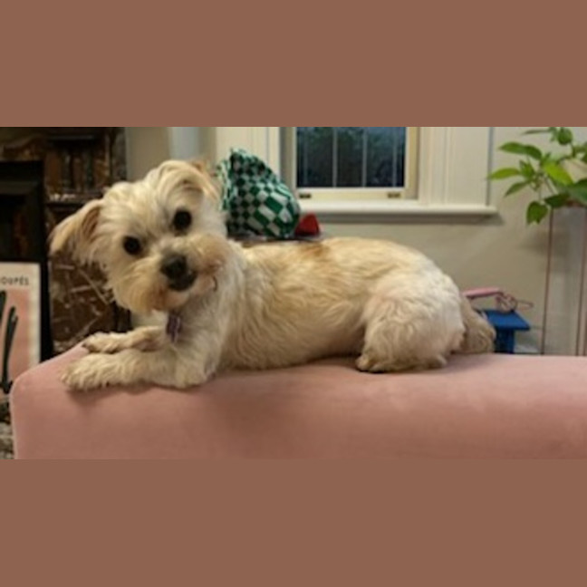 Photo of Minnie