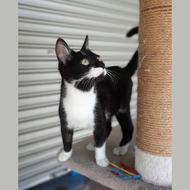Photo of Daisy