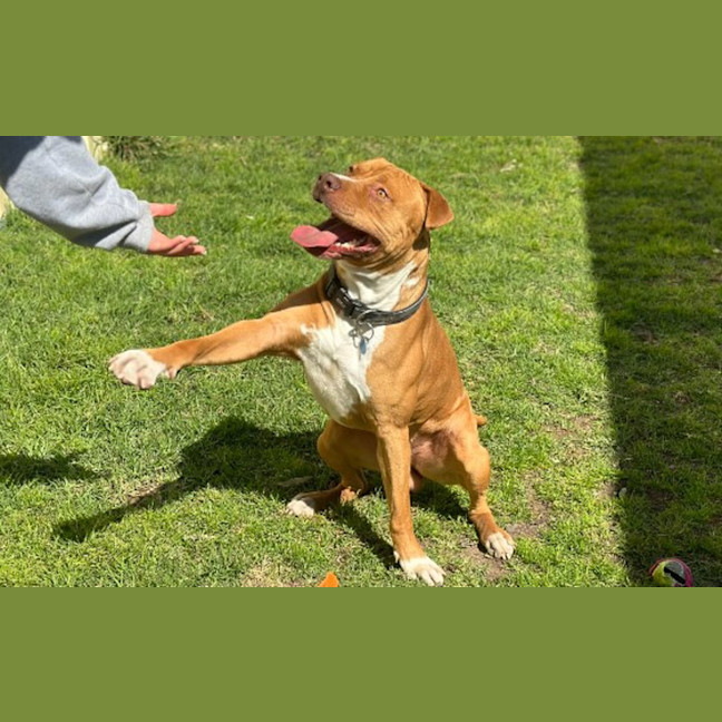 Photo of Duke