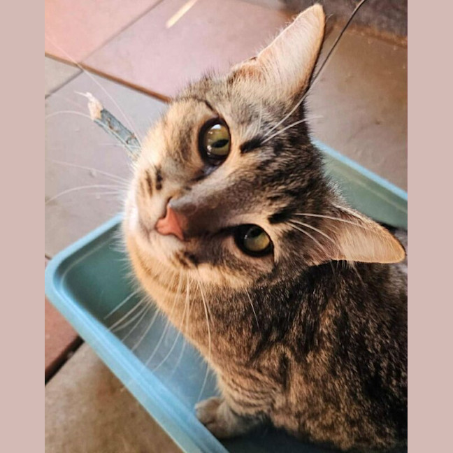 Photo of Hey Hey