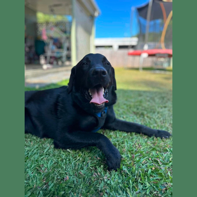 Photo of Leo