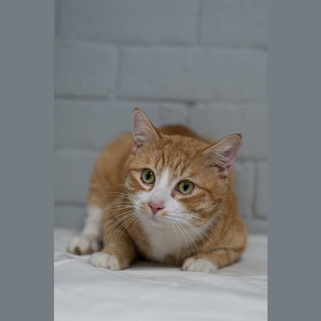 Photo of Arthur