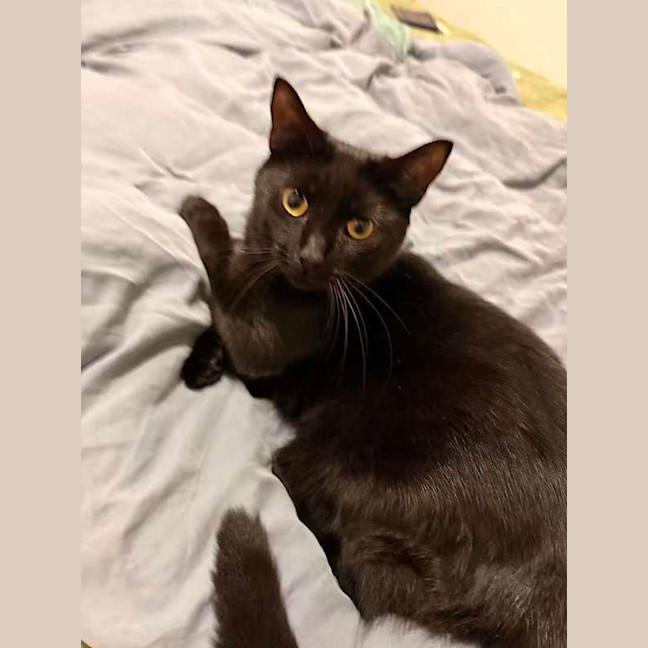 Photo of Salem