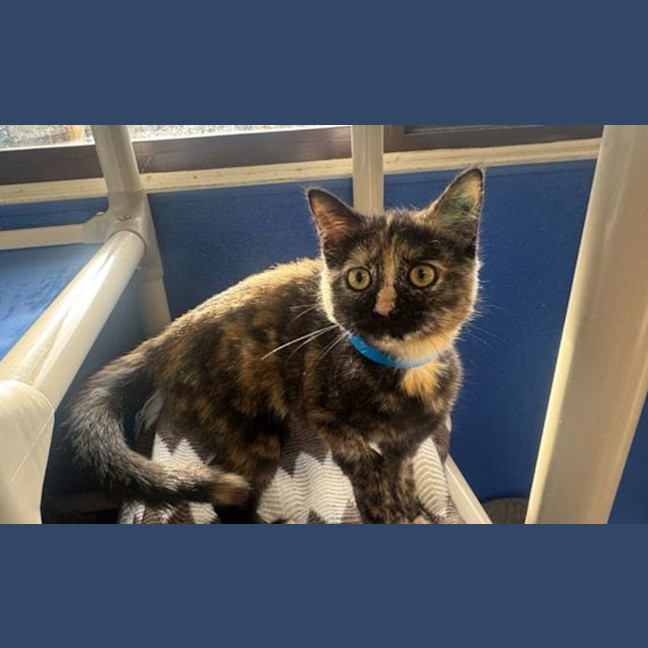 Photo of Wanda