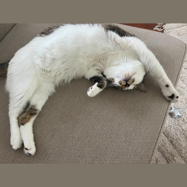 Photo of Charlee