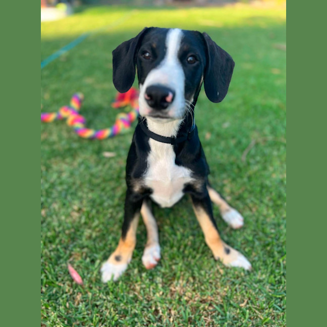 Photo of Tracker
