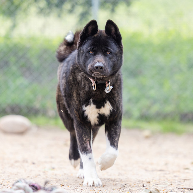 Photo of Kita