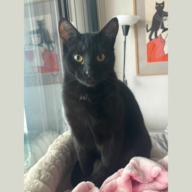 Photo of Jonah