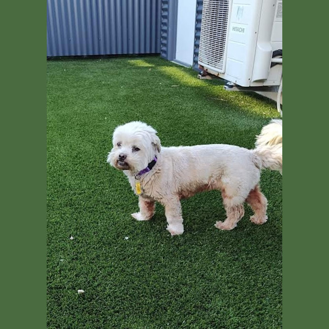 Photo of Roxy