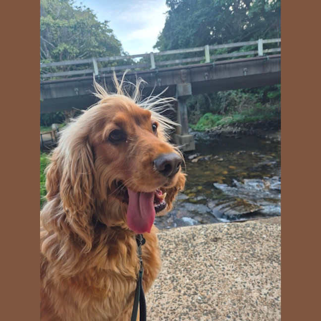 Photo of Walter