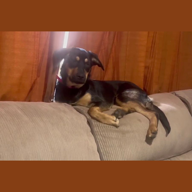 Photo of Mishka