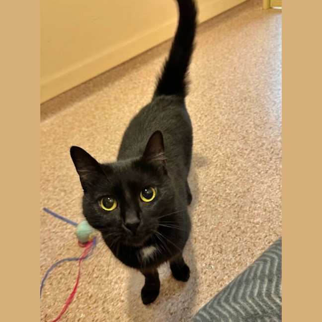 Photo of Echo