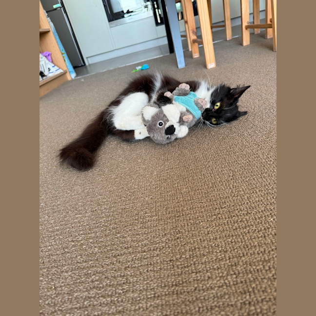 Photo of Polly