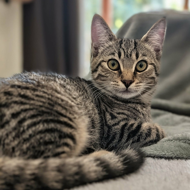 Photo of Lola