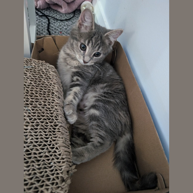 Photo of Smokin 🔥