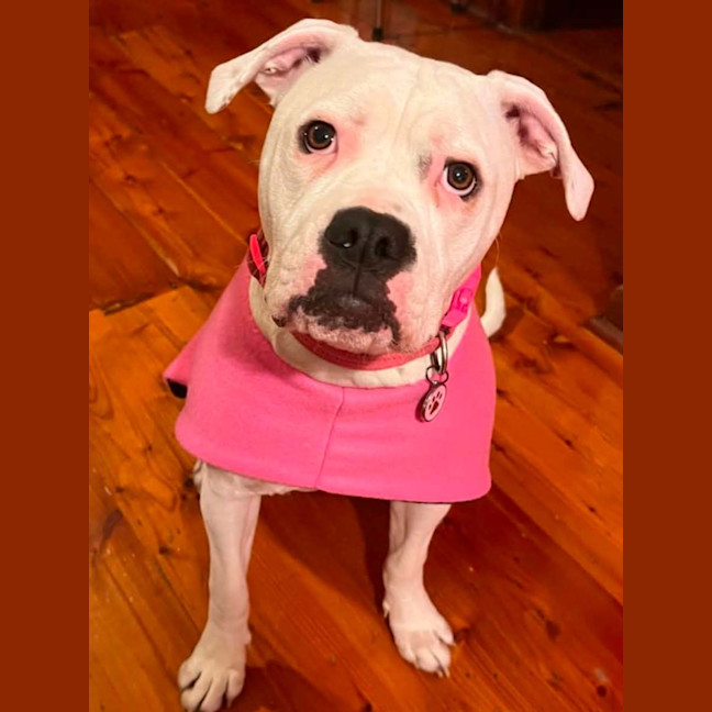 Photo of Lily
