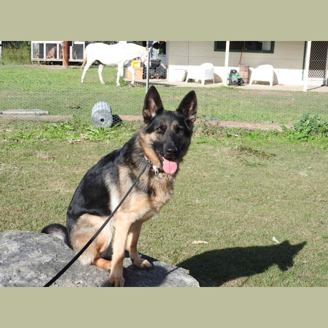 Photo of Bessy