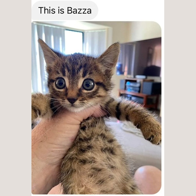 Photo of Bazza