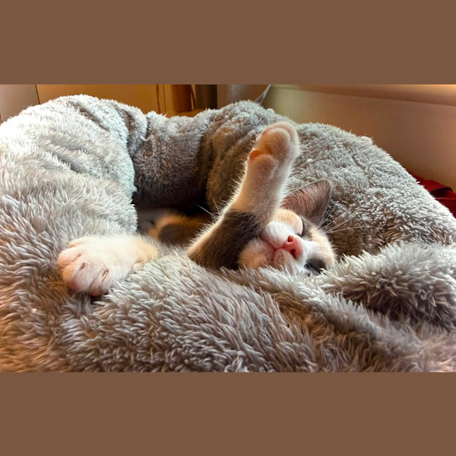 Photo of Heidi