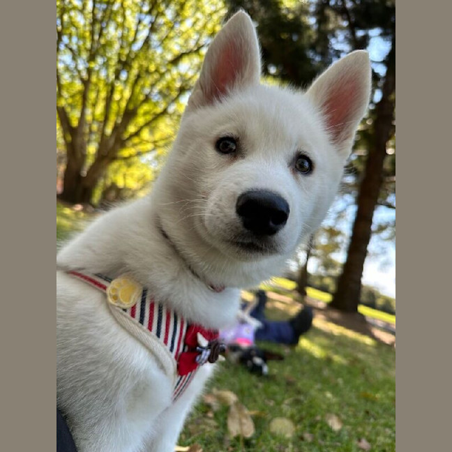Photo of Maya