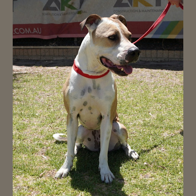 Photo of Wilma