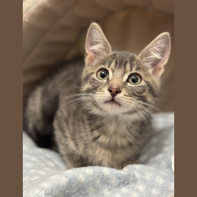 Photo of Ash