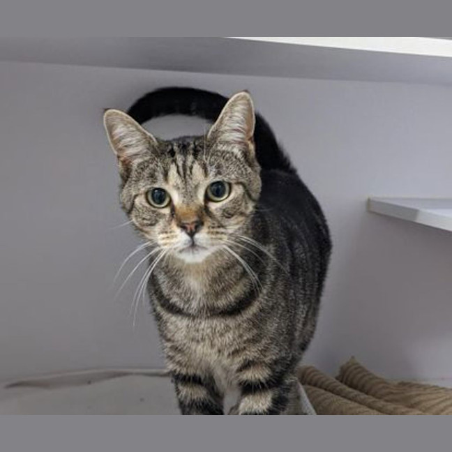 Photo of Waldo