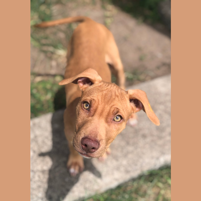 Photo of Lulu