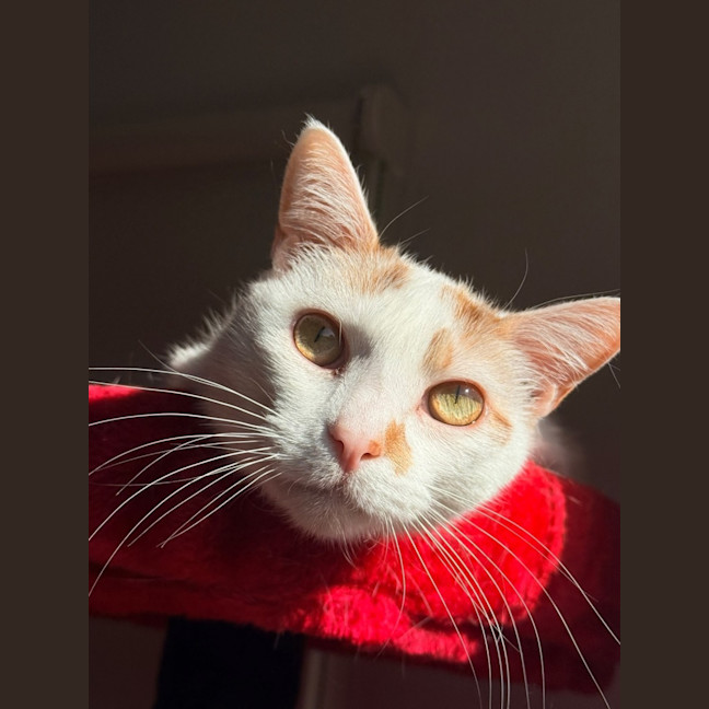 Photo of William