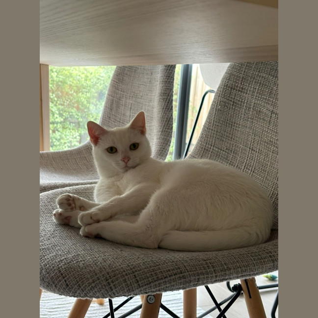 Photo of Yuki