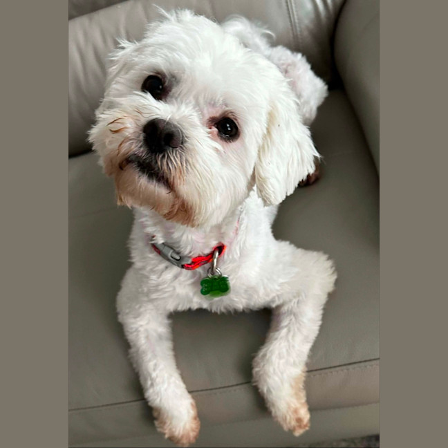 Photo of Mollie