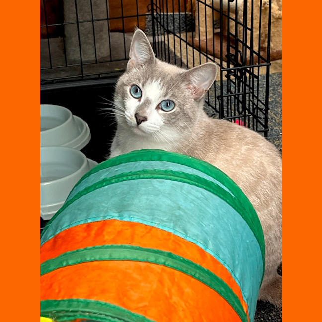 Photo of Ghosty