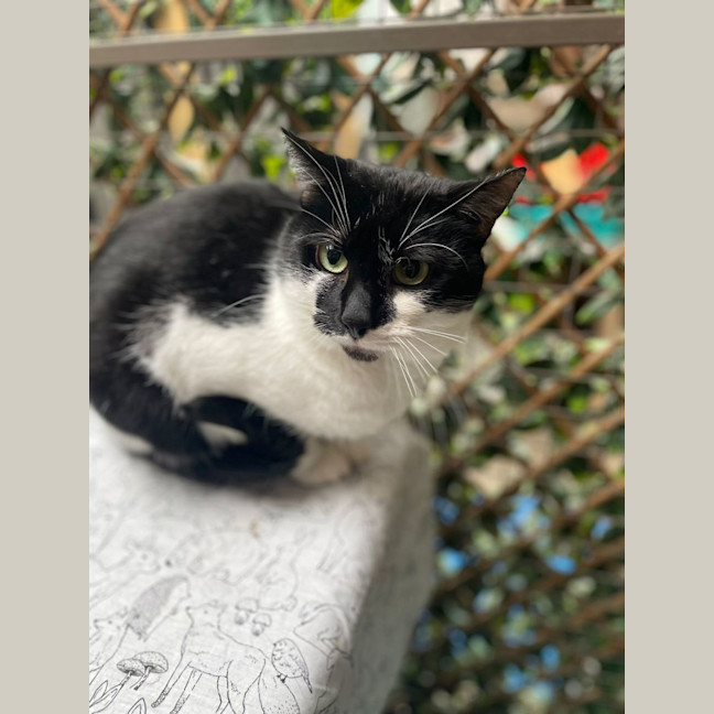 Photo of Kevin   Best Buds With Sutton   Check His Profile