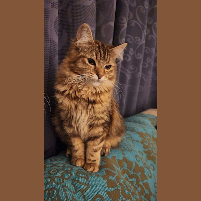 Photo of Penelope
