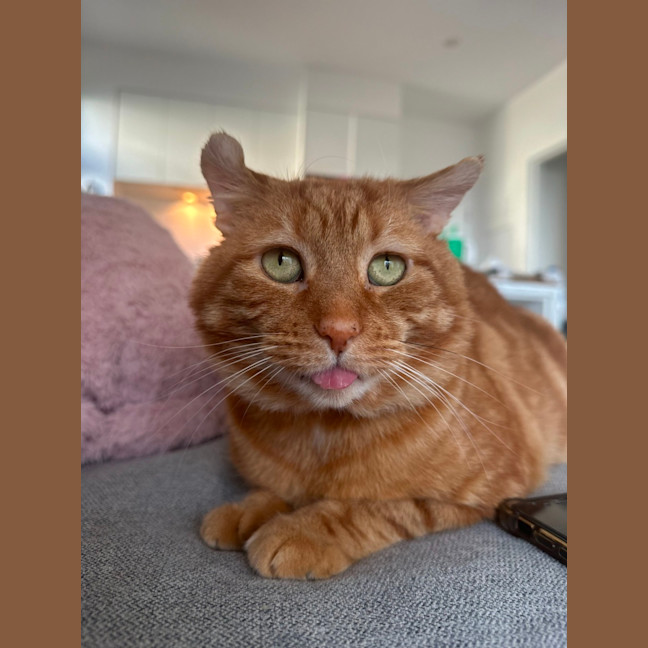 Photo of Bobby