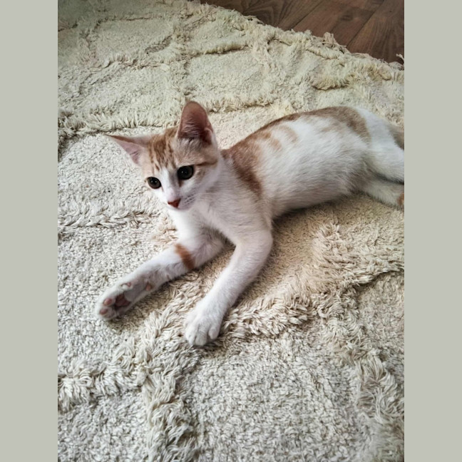 Photo of Ted
